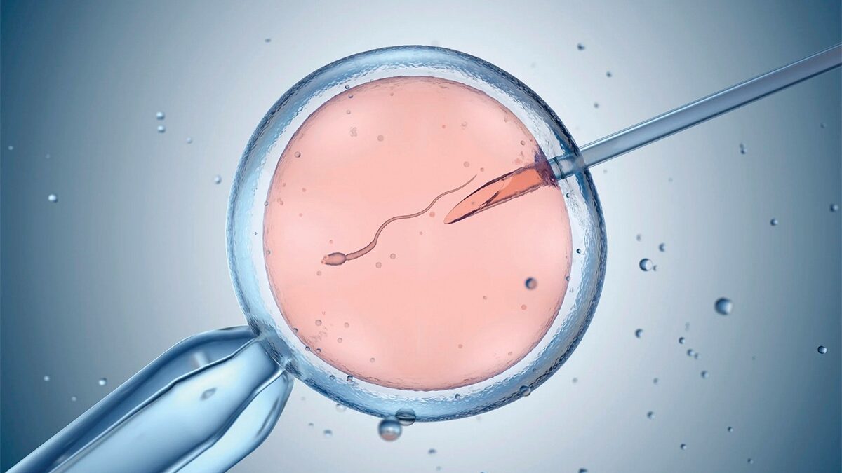 Cedigne Fertilización In Vitro